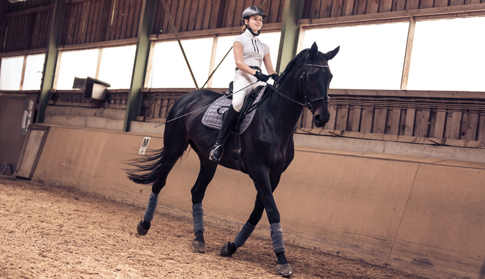 Reiten ist Sport? » Finden Sie es heraus!