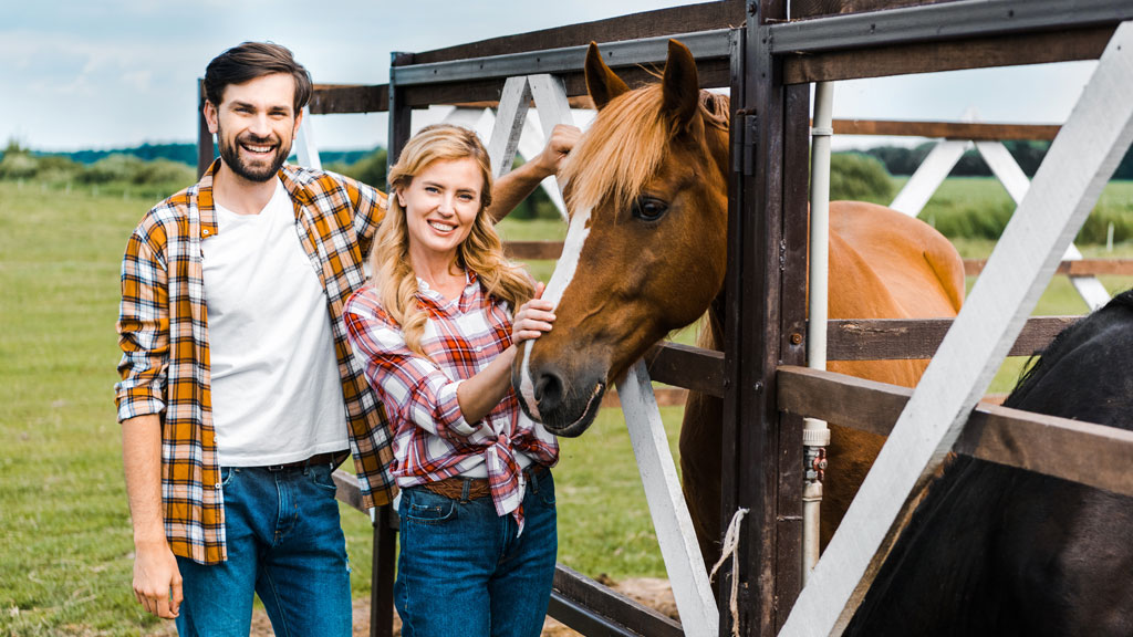 Pferd im Offenstall