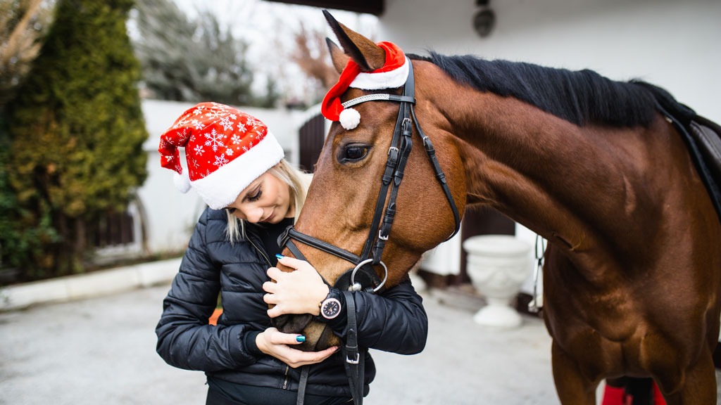 Pferd mit Weihnachtsmütze – Ein festlicher Anblick